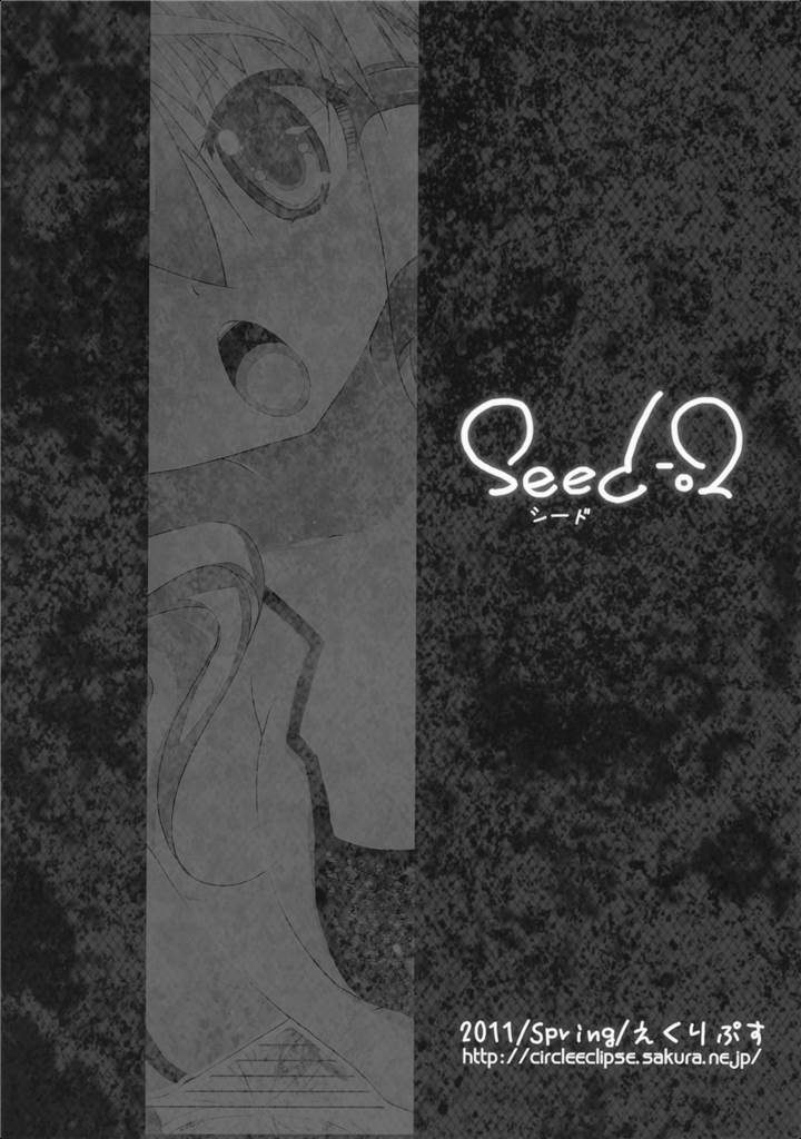 seed-02 22ページ