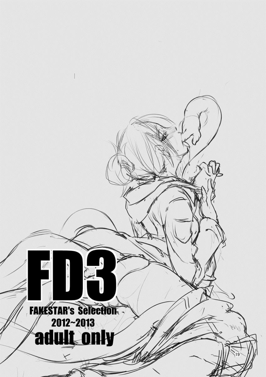 FD3 18ページ