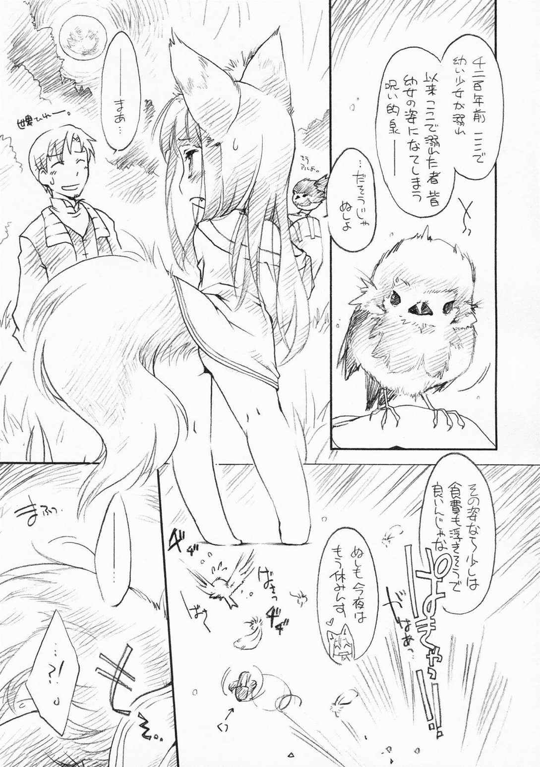 狼の総決算 50ページ