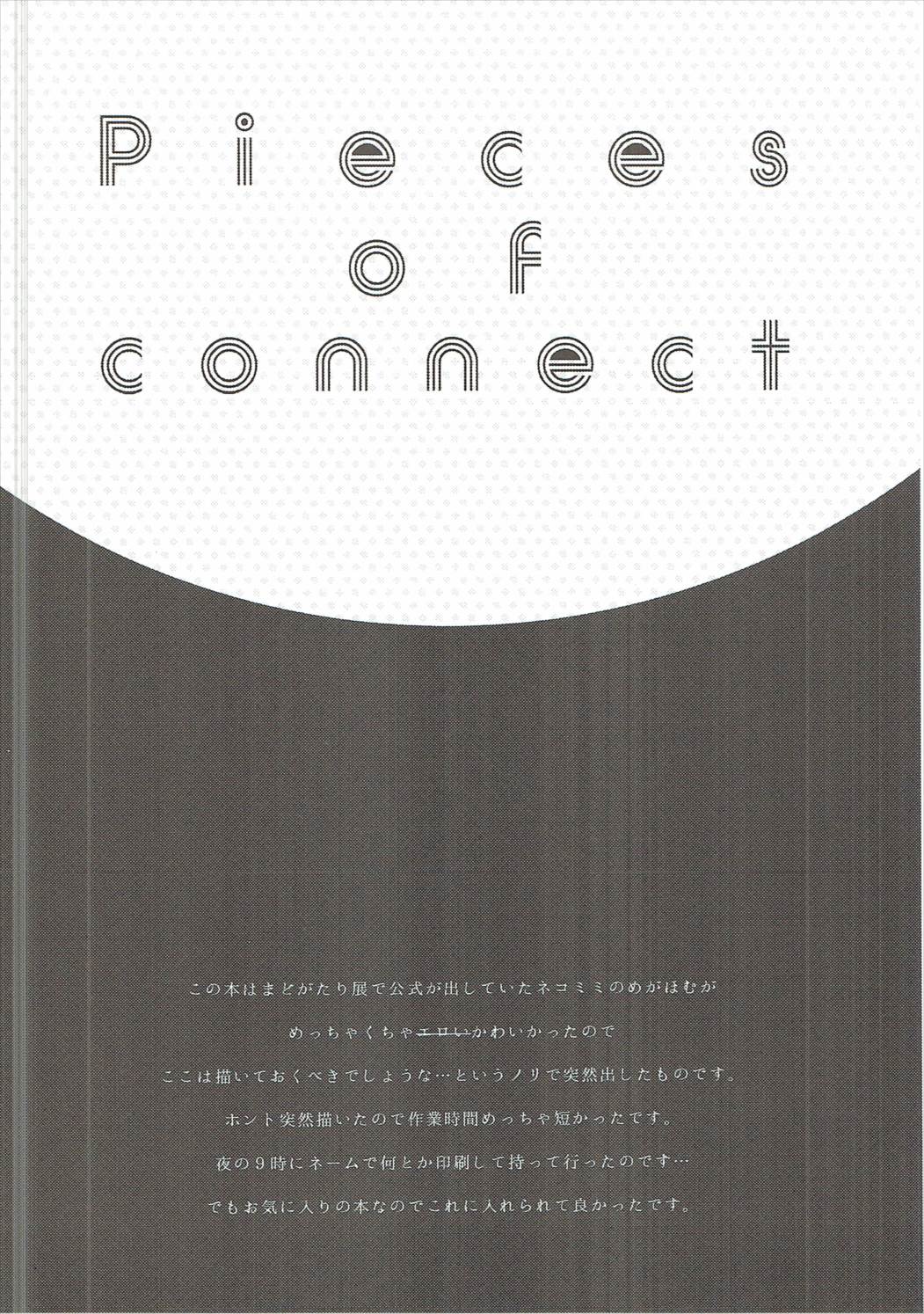 Pieces of connect 11ページ