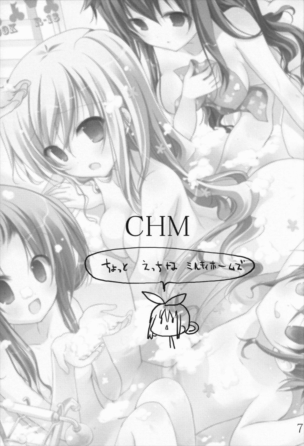 CHM 6ページ