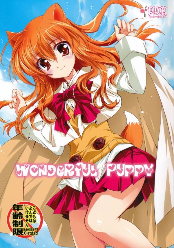 Wonderful Puppy 1ページ