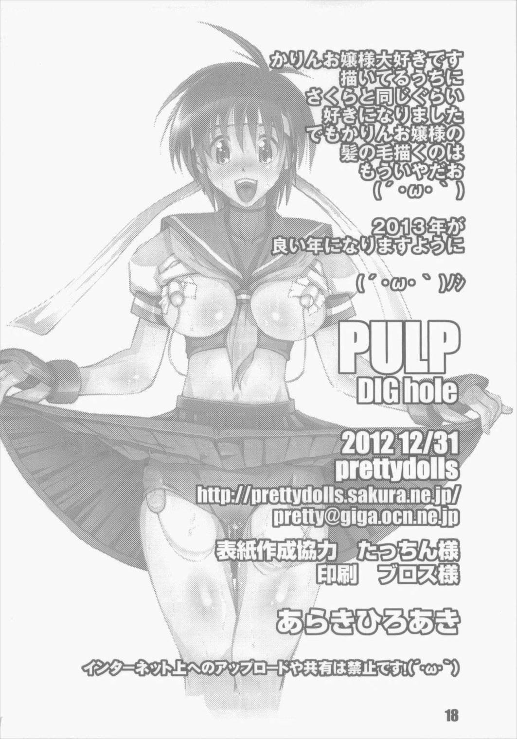 PULP DIG hole 2ページ