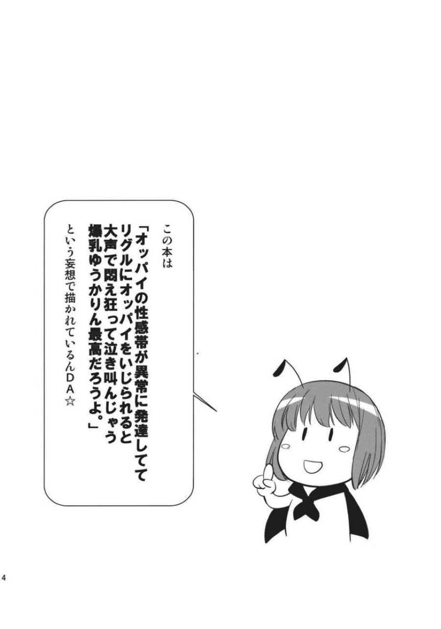 ゆかばい 3ページ