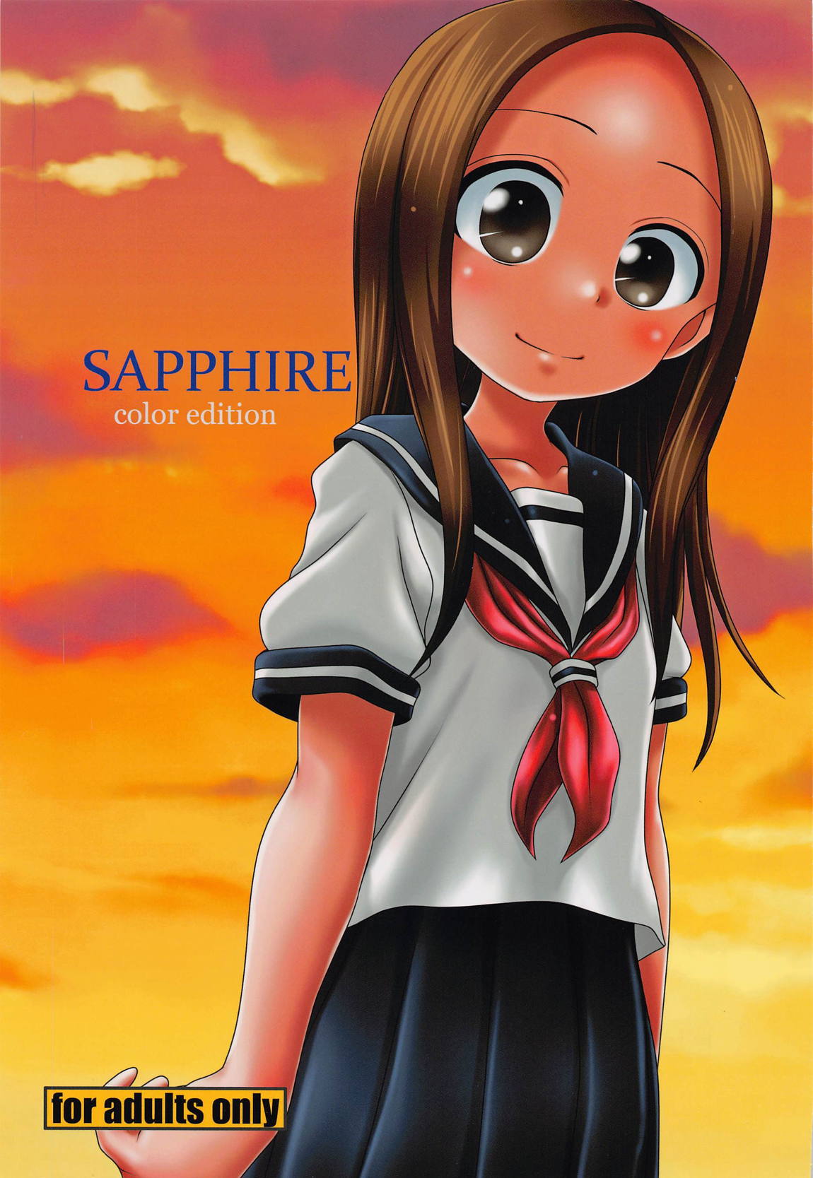 SAPPHIRE color edition 1ページ