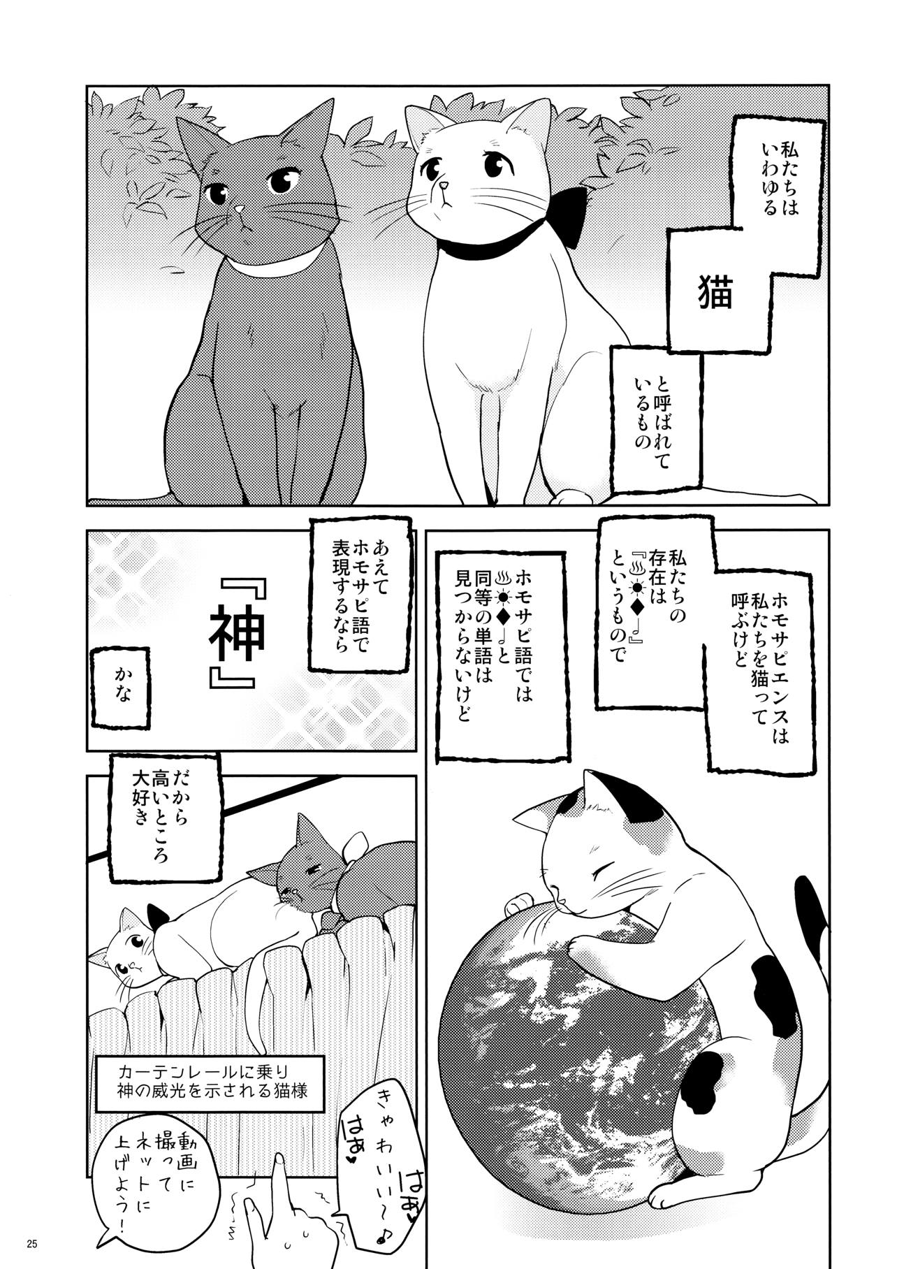 まとめたの 26ページ