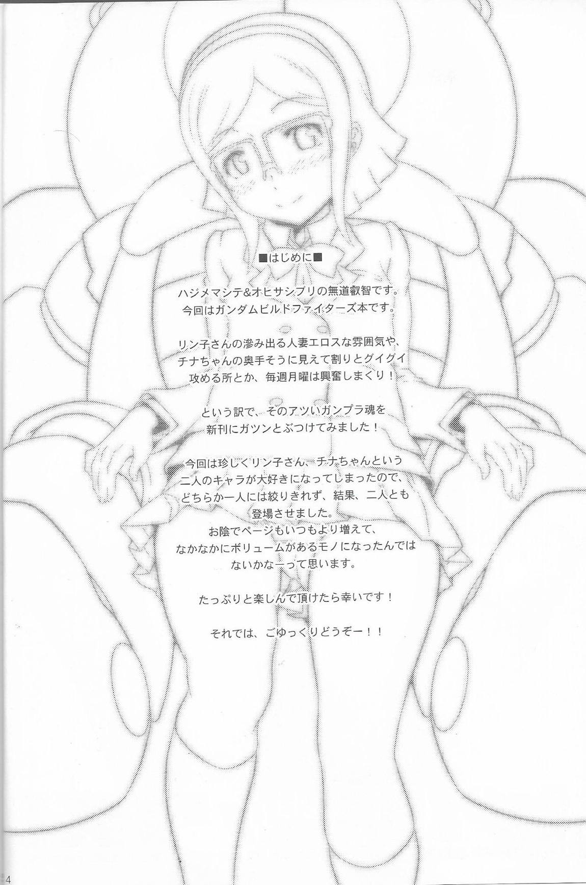 ビルドックス! Gundam build fighters Un Official fun Book 3ページ