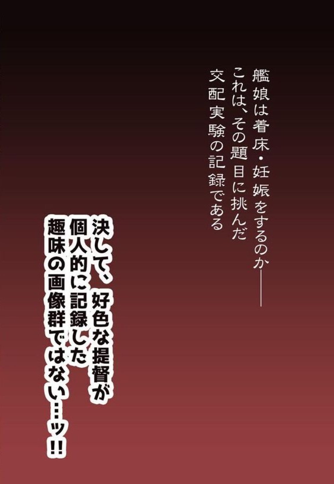 ロジウラ鎮守府の中出しこれくしょん~艦娘交配実験記録~ 2ページ