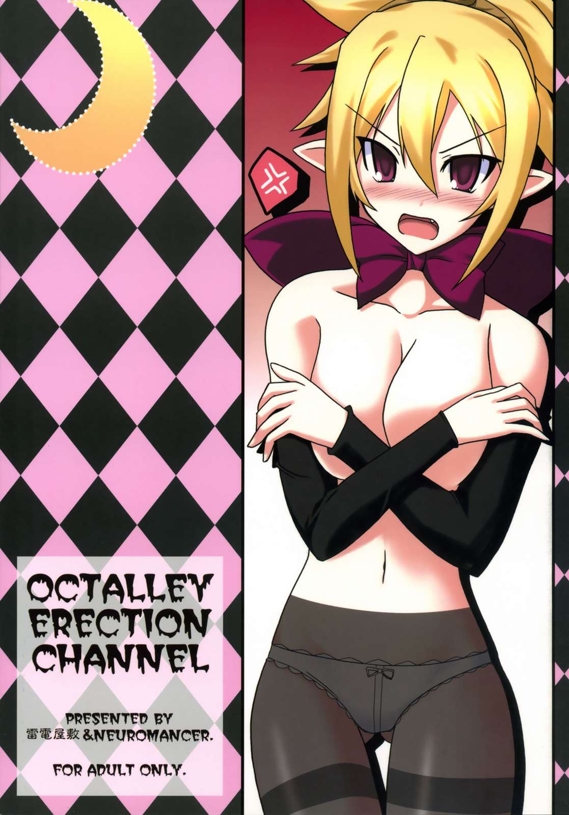 OCTLLEY ERECTION CHANNEL 26ページ