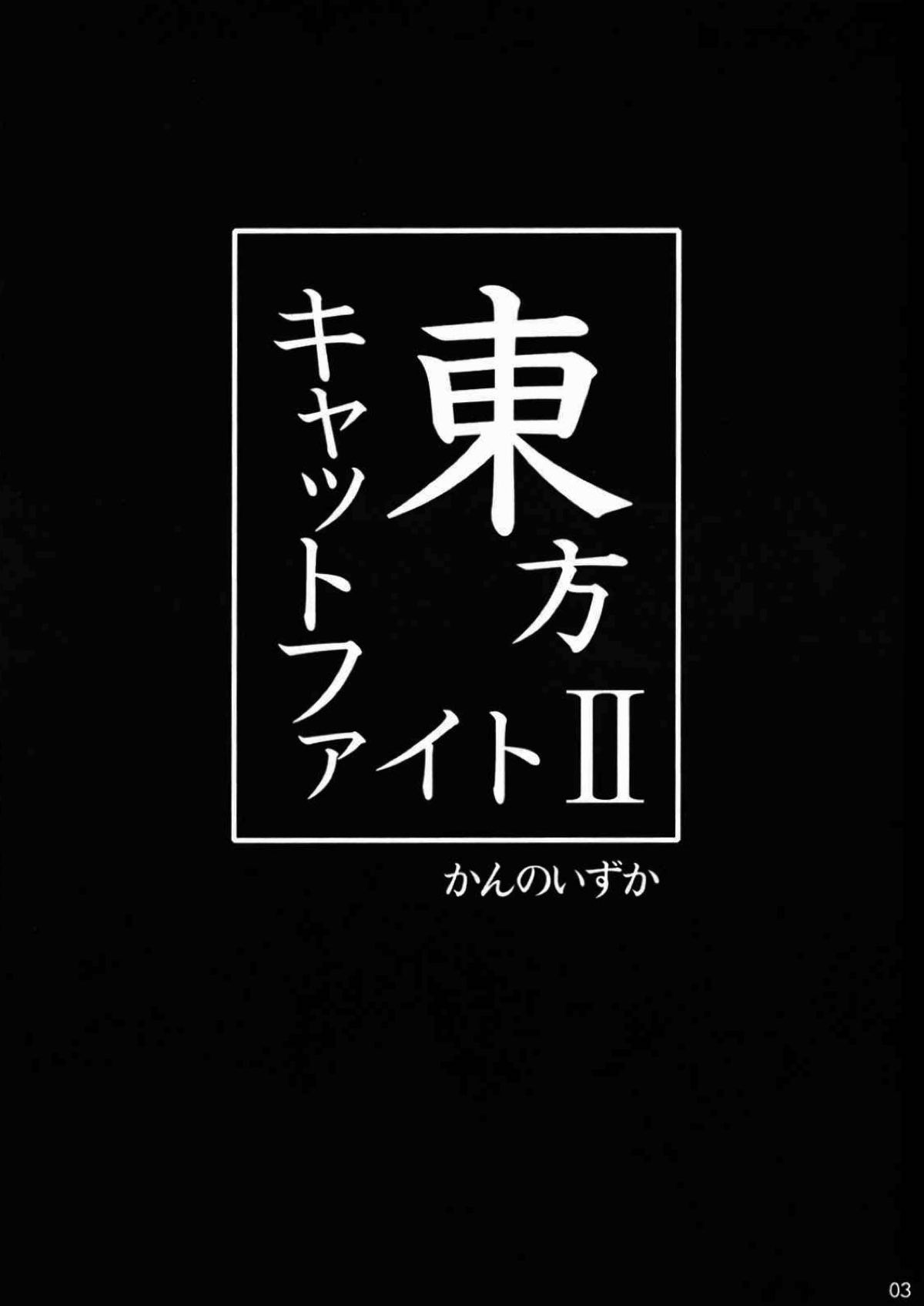 東方キャットファイトⅡ 2ページ