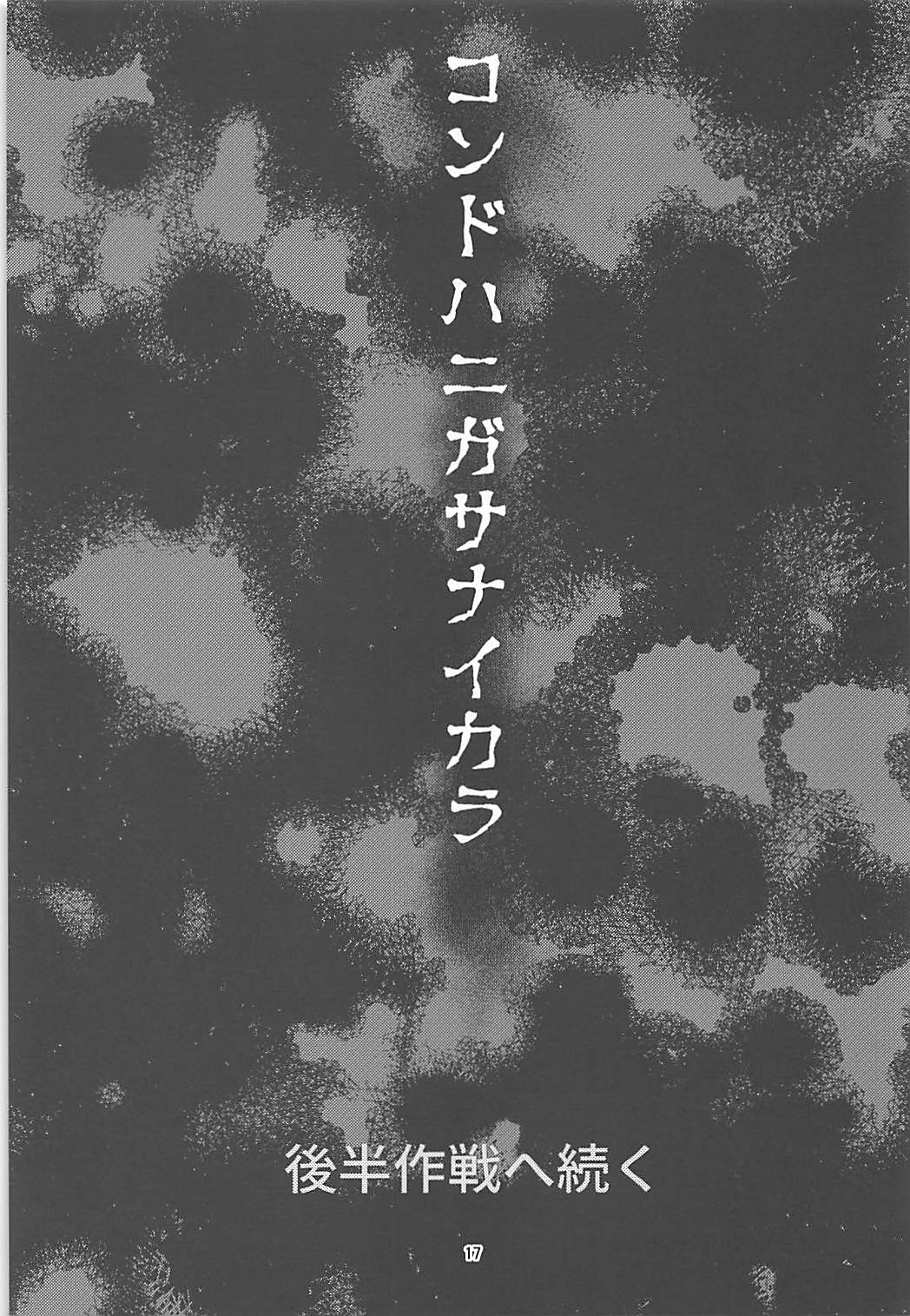 フタナリ時雨 山城完堕夜戦 前半作戦 16ページ