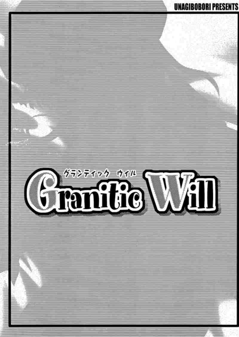 Granitic Wall 3ページ