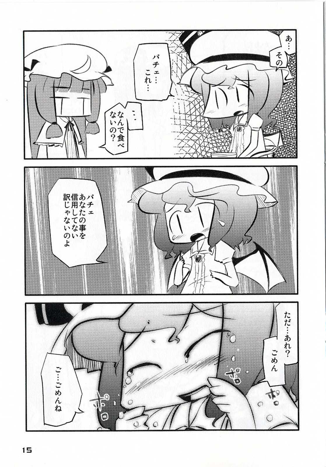 東方黄金水紅 15ページ