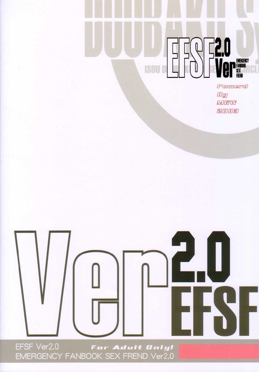 EFSF ver2.0 34ページ