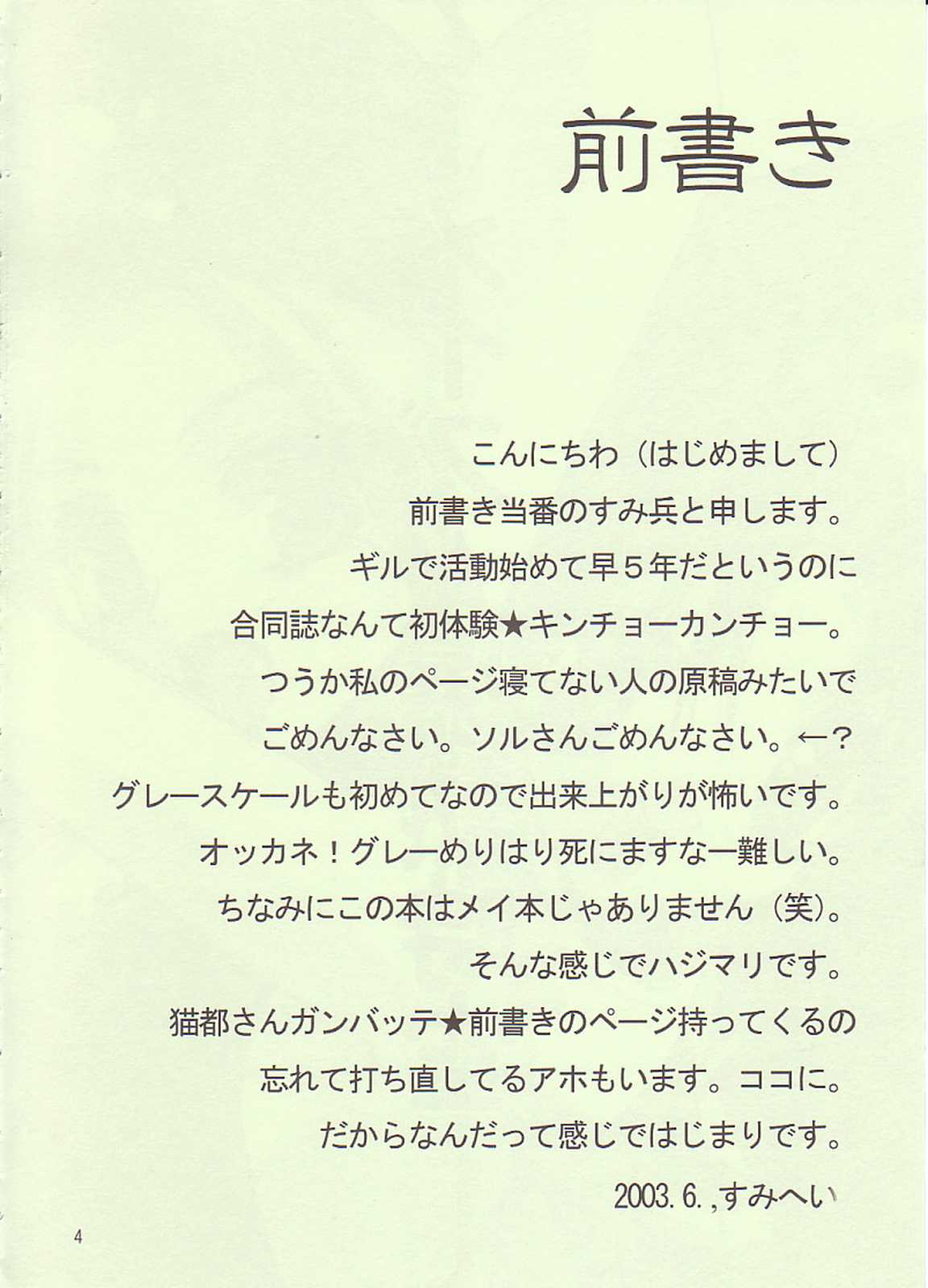 メイズ☆爆熱時空 3ページ