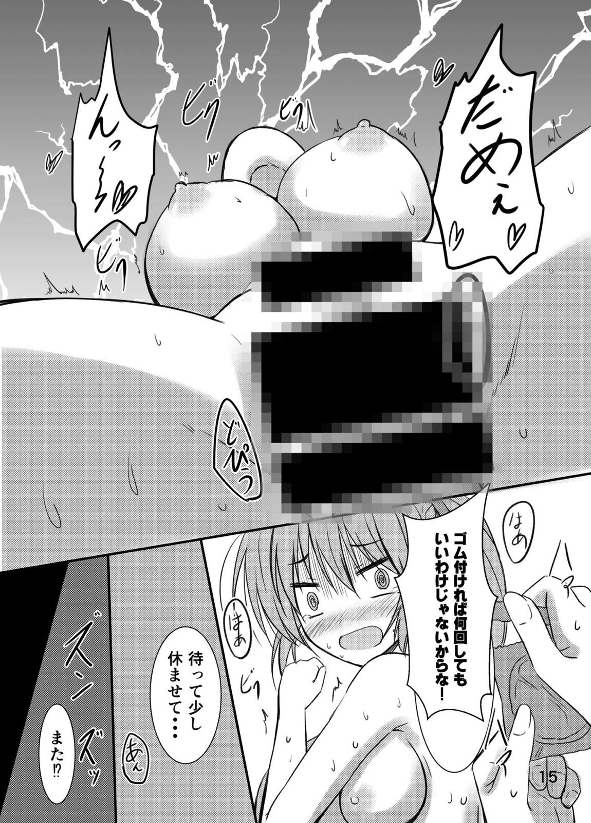 シグナムお姉さんがあなたくんに教えるセックスのてほどき 14ページ