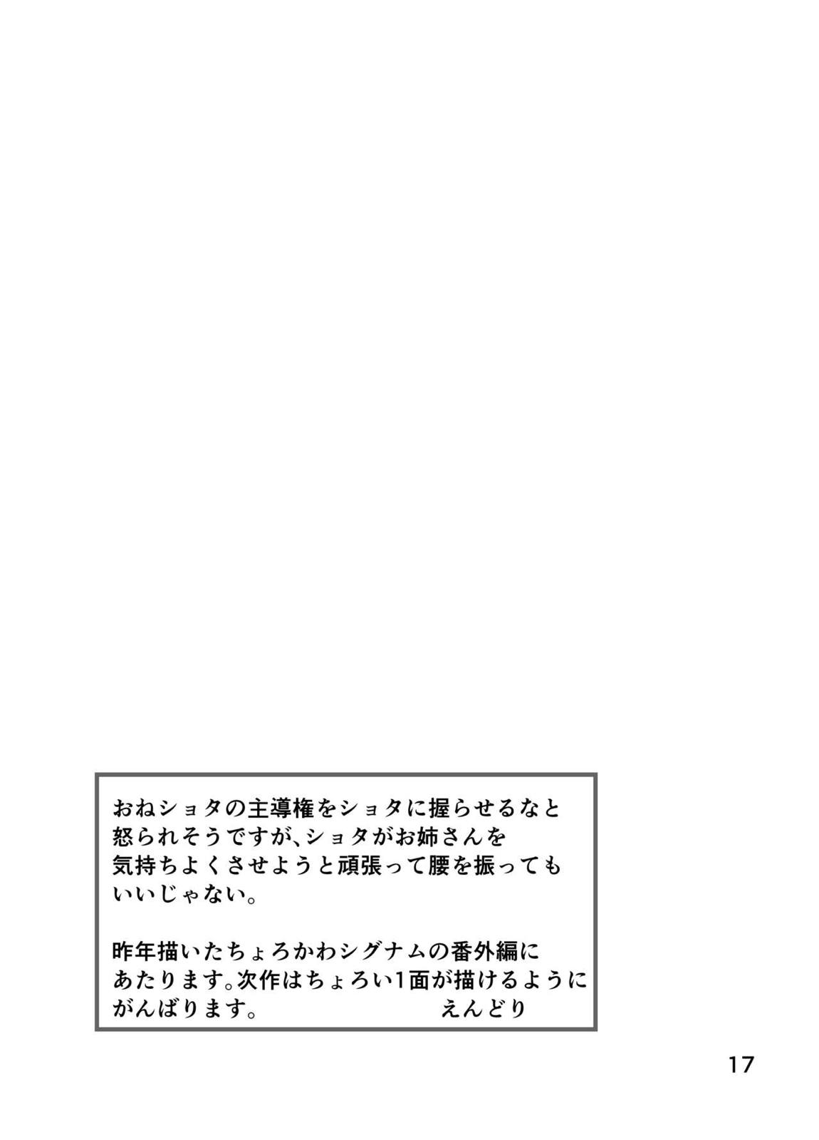 シグナムお姉さんがあなたくんに教えるセックスのてほどき 16ページ