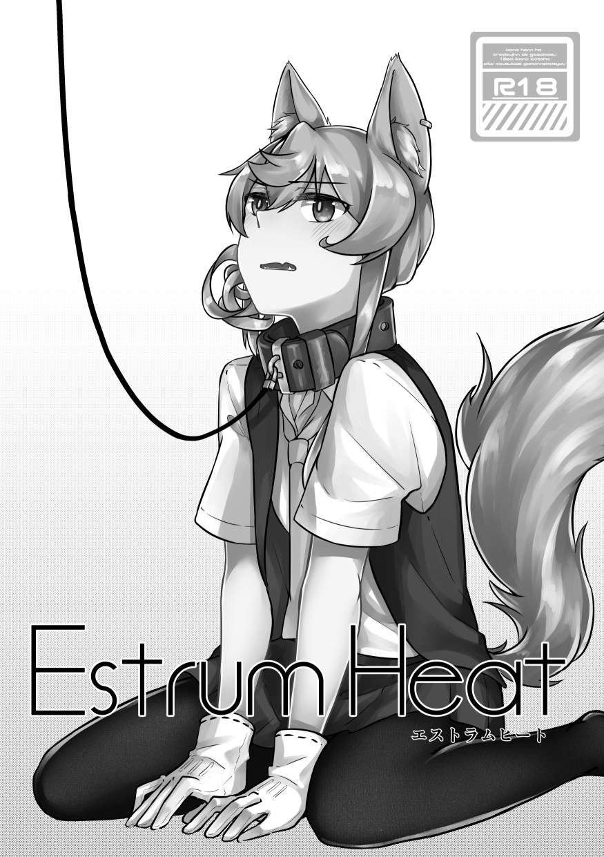 Estrum Heat 1ページ