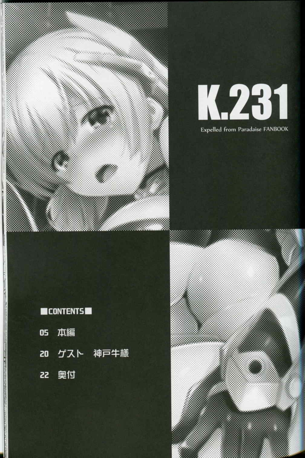 K231 2ページ