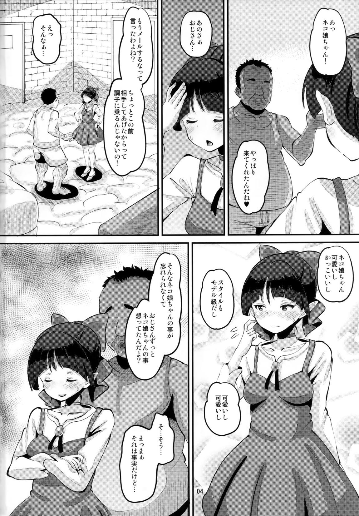 ちょろいよネコ姉さん 3ページ