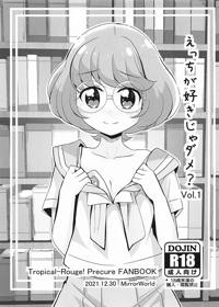 えっちが好きじゃダメ？vol,01