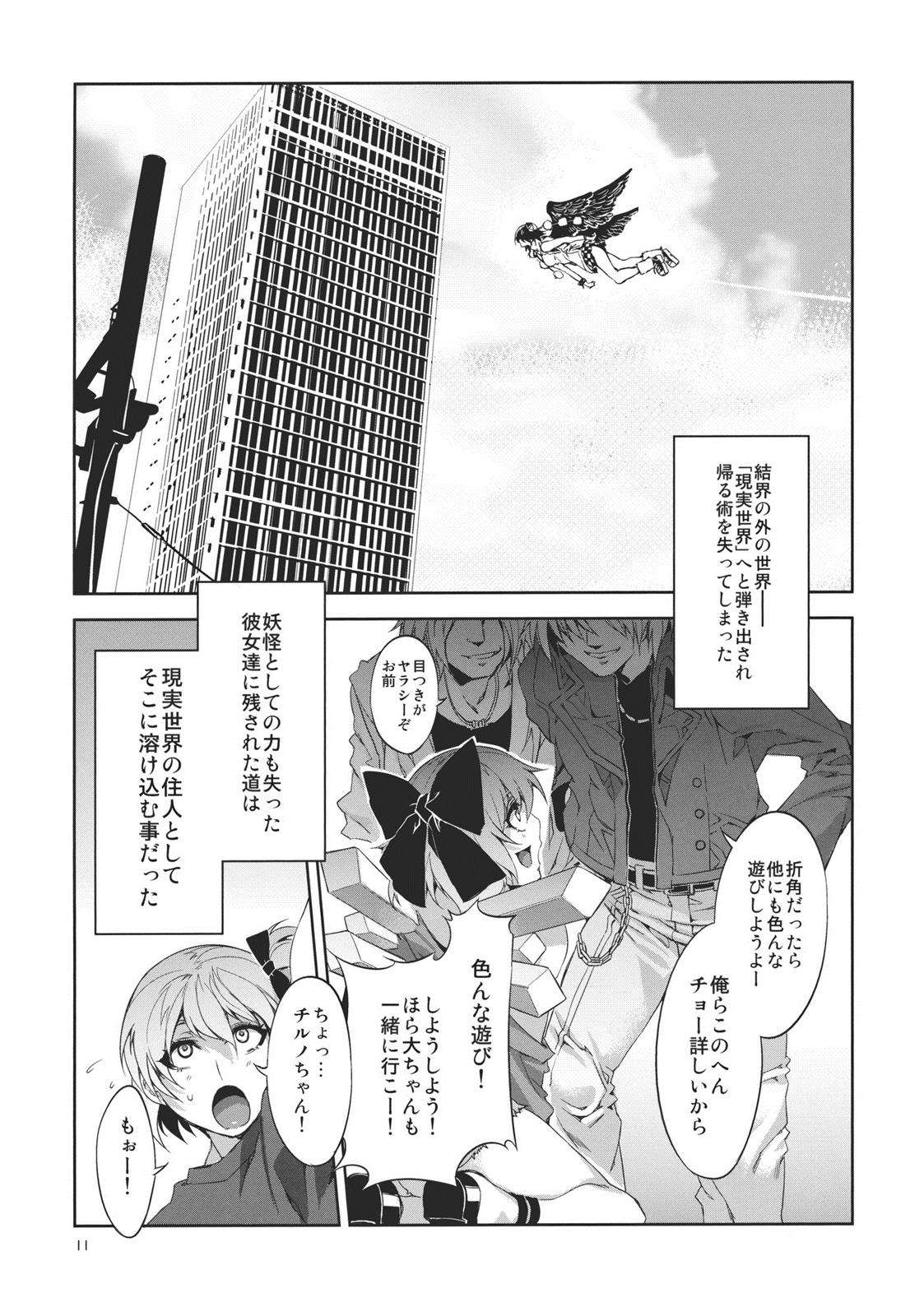 東方幻想崩壊 11ページ