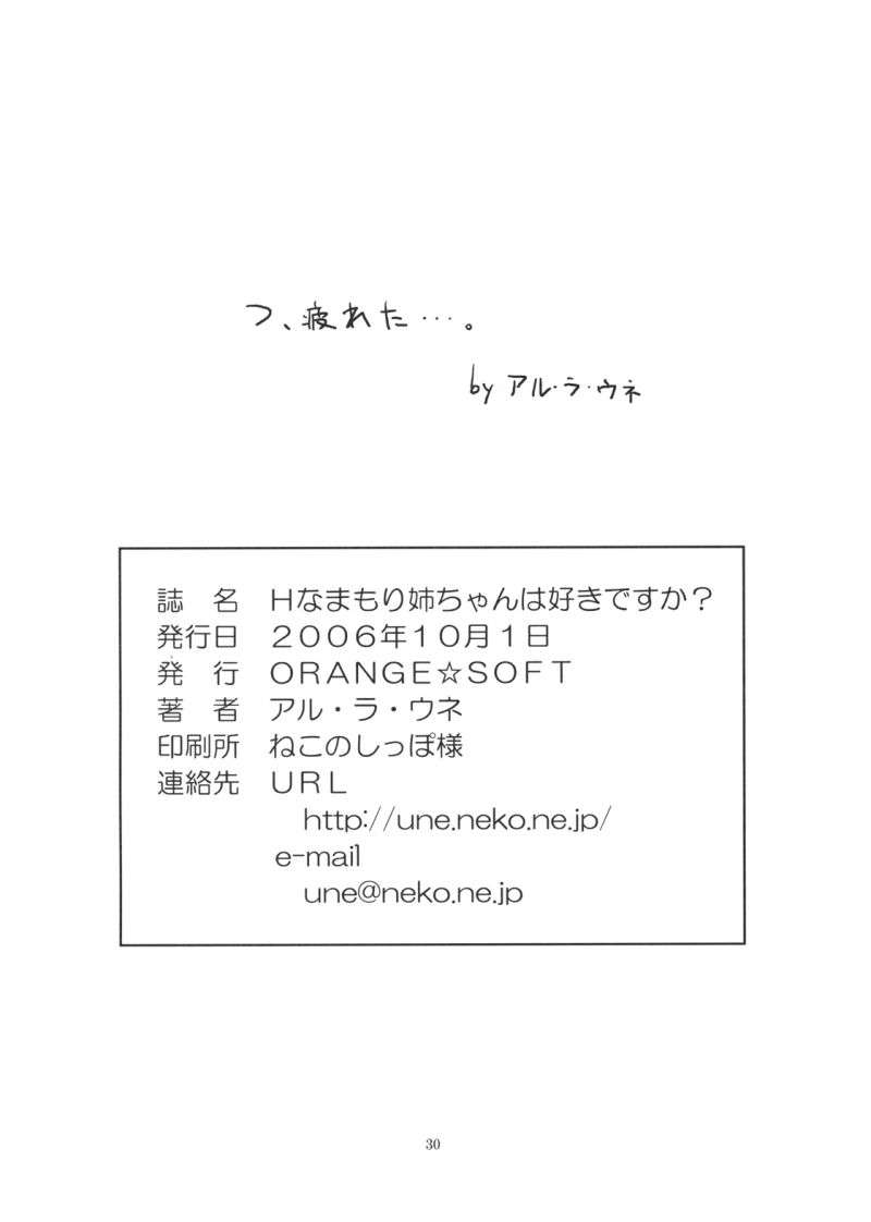 Hなまもり姉ちゃんは好きですか？ 29ページ