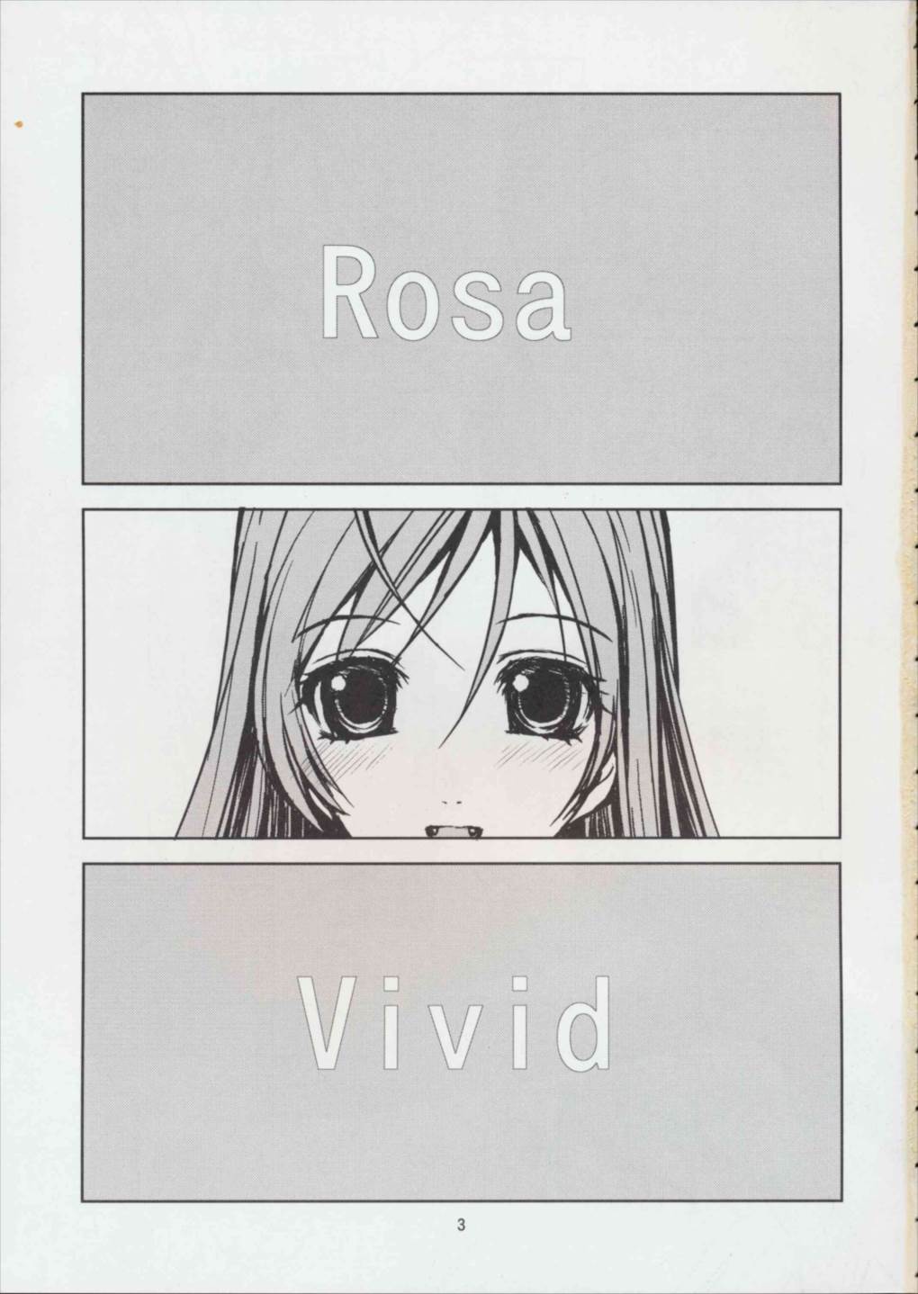 RV – Rosa Viva 2ページ
