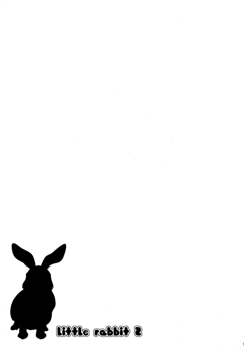 little rabbit 2 17ページ