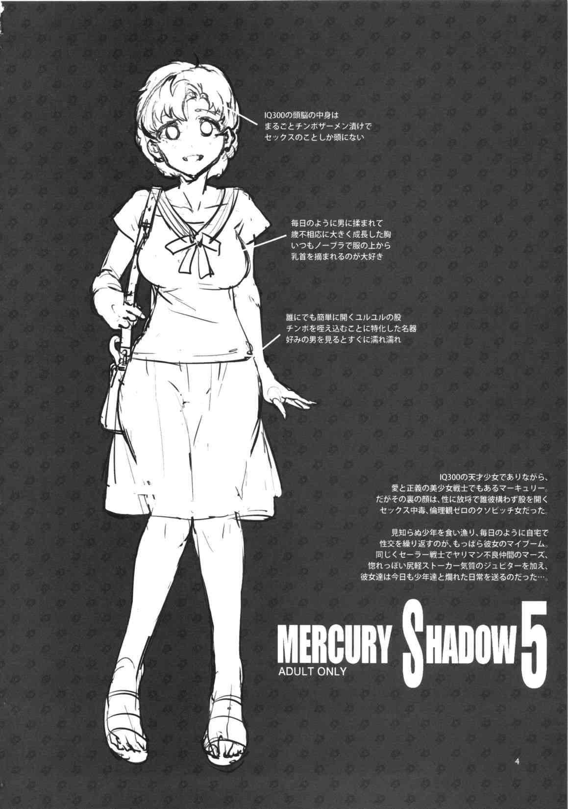 MERCURY SHADOW 5 3ページ