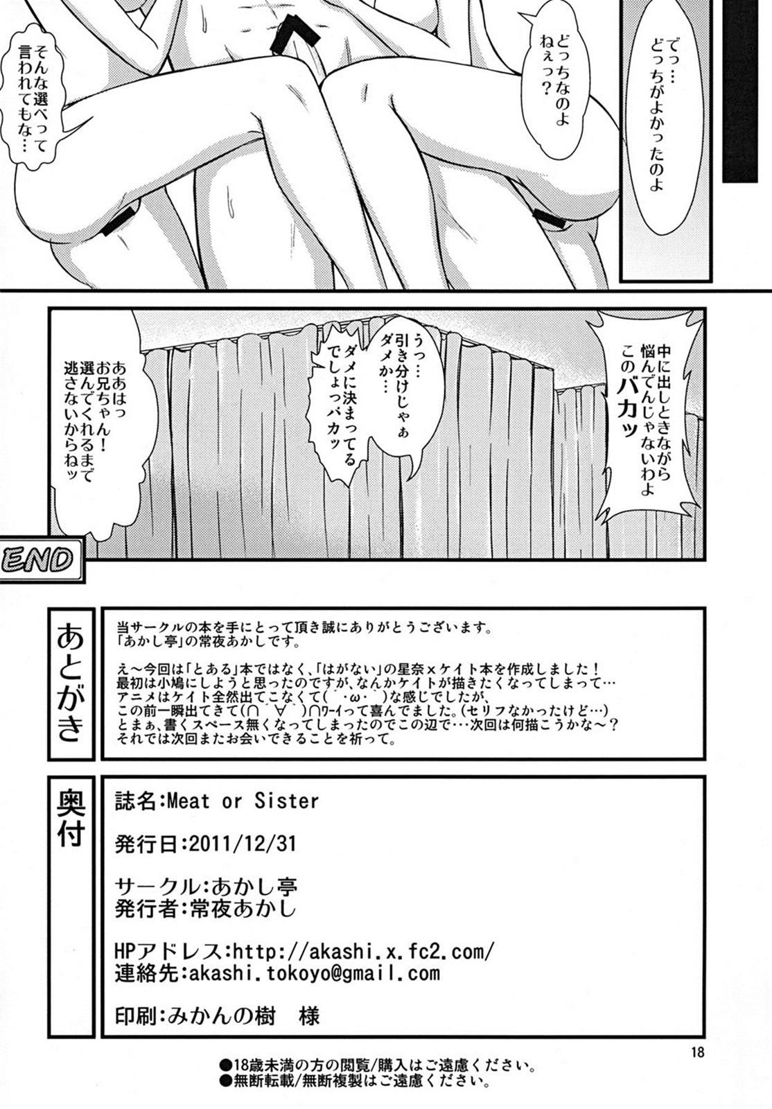 Meat or Sister 18ページ