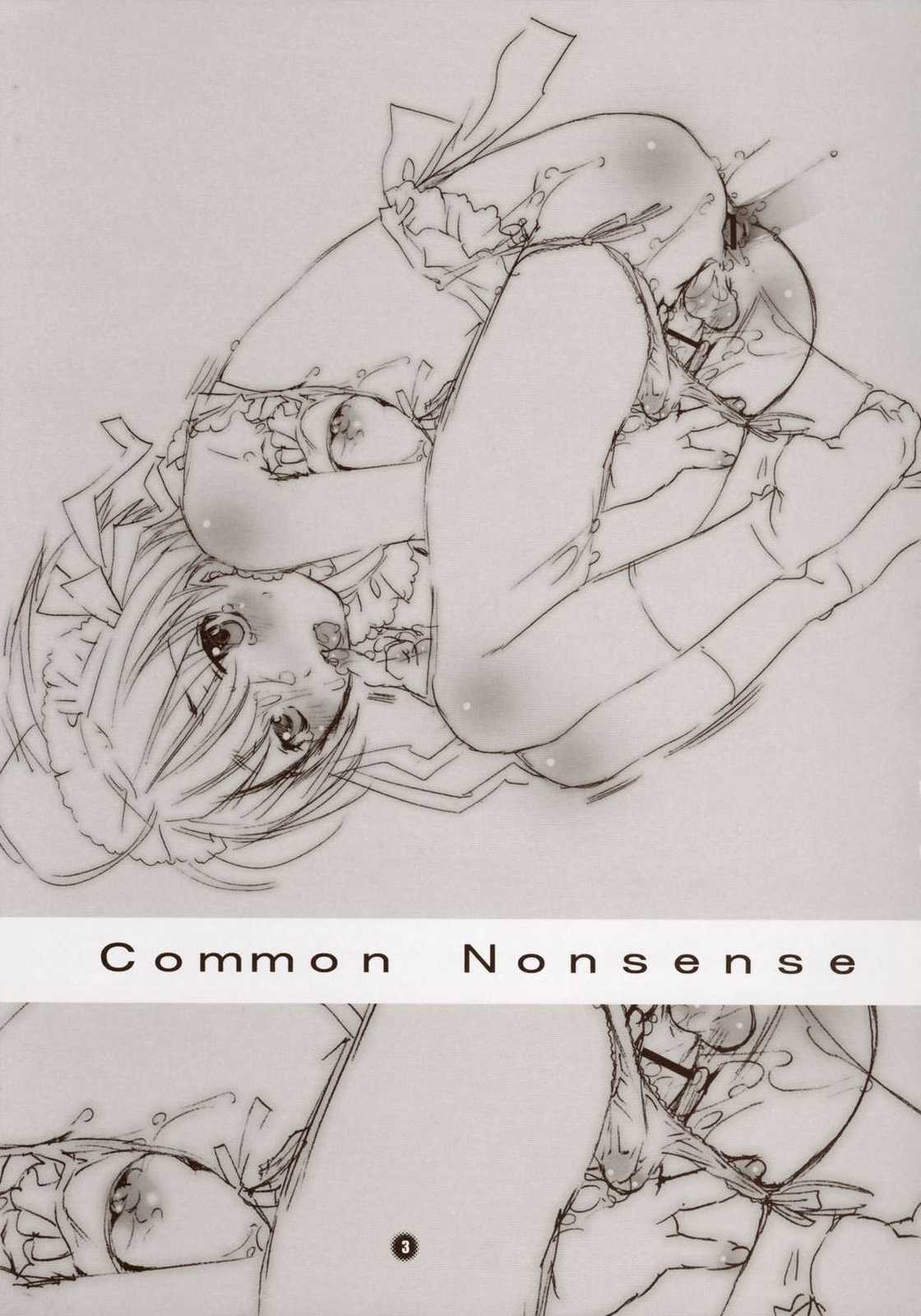 Common Nonsense 3ページ