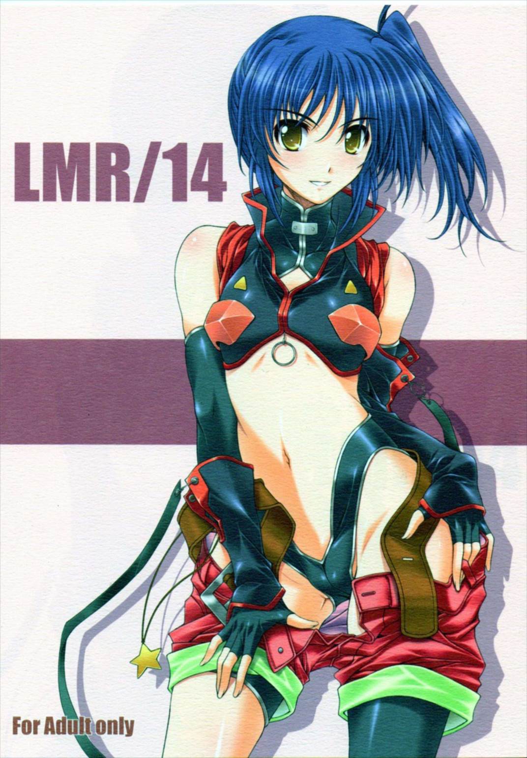 LMR／14 1ページ