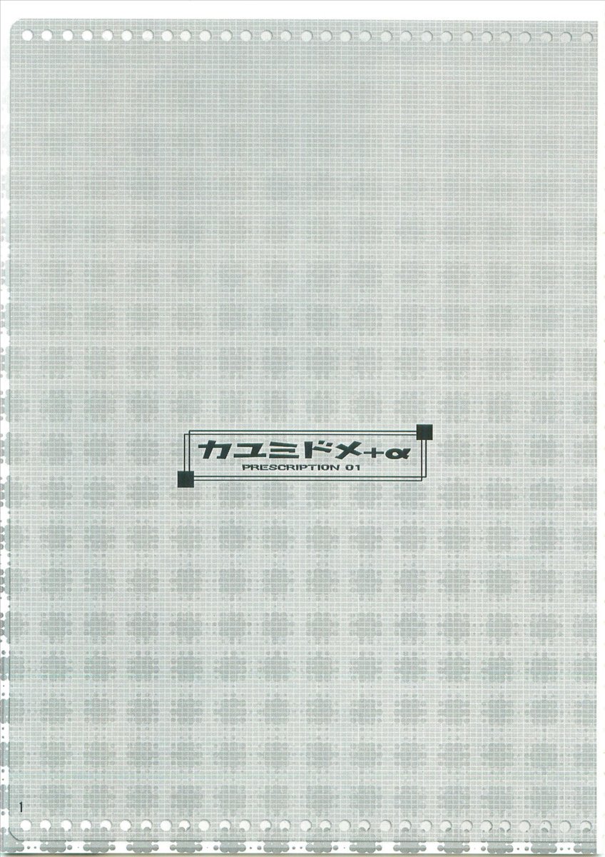 カユミドメ+α 2ページ