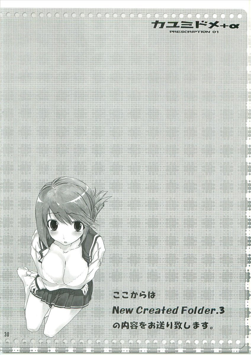 カユミドメ+α 31ページ