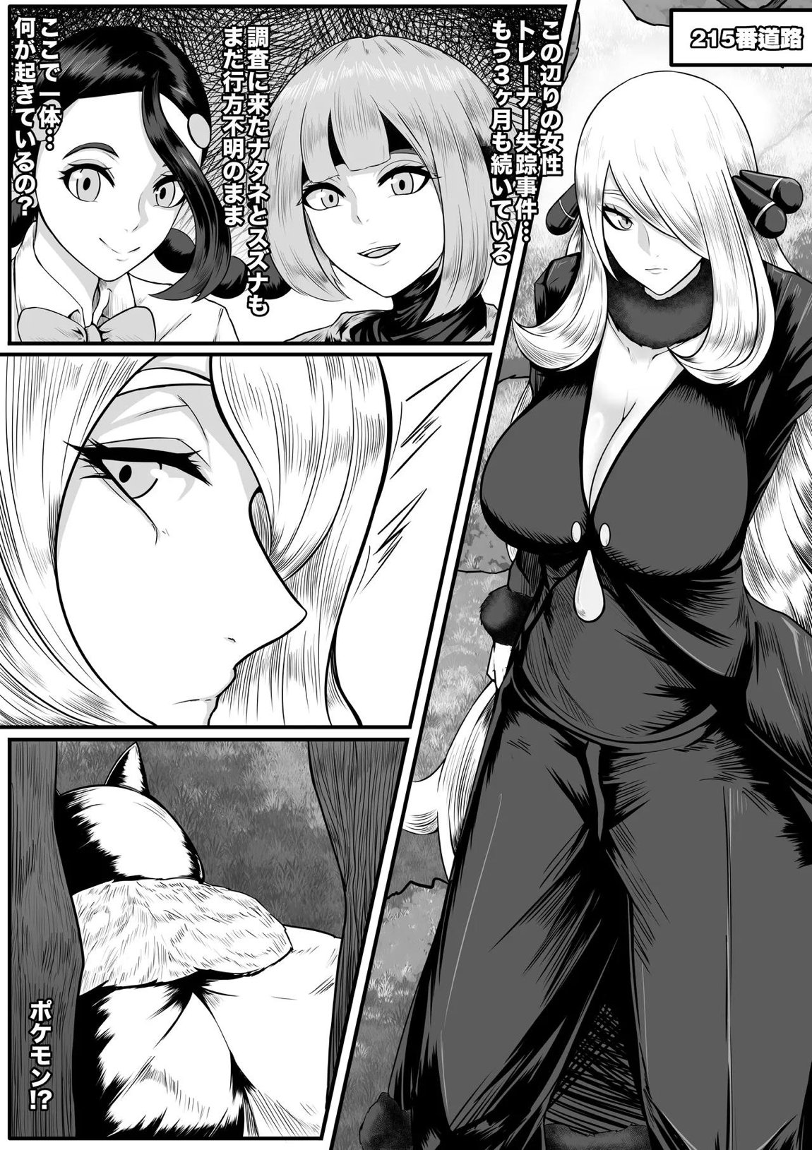 シロナ 2ページ