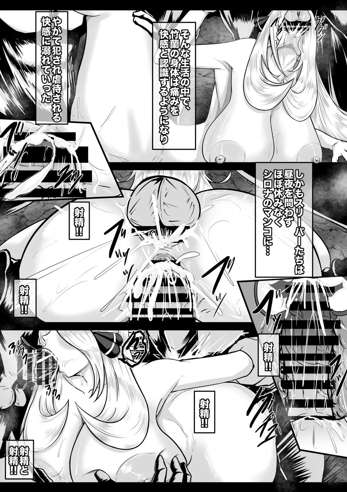 シロナ 10ページ