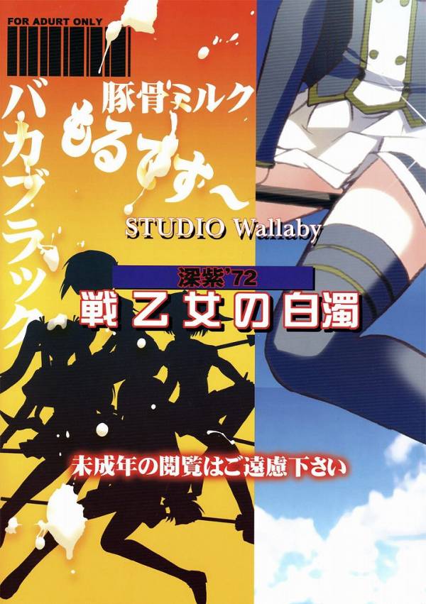 戦乙女の白濁 30ページ