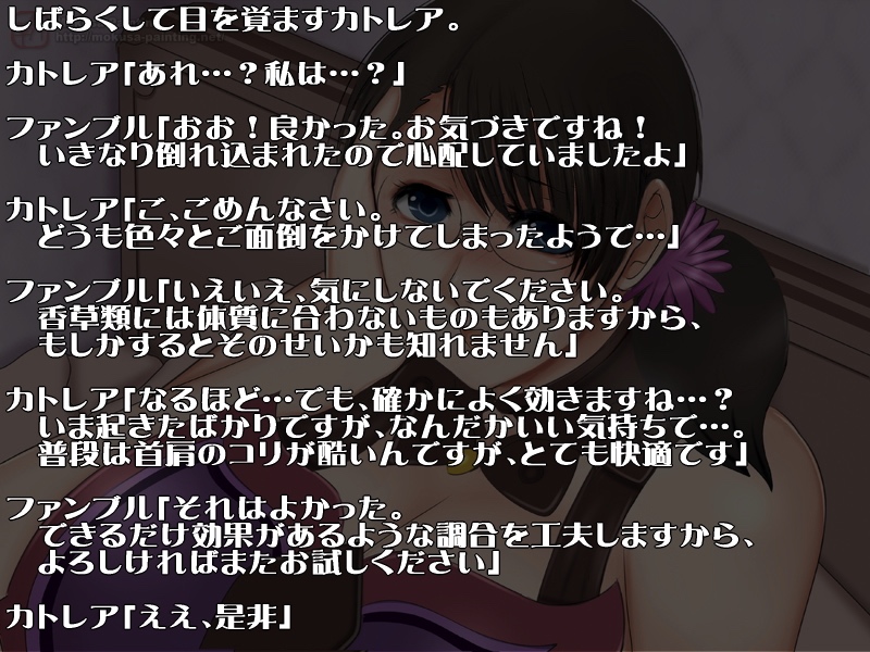 寝取られ母さん-良妻賢母カトレアさんの肉欲生活- 12ページ