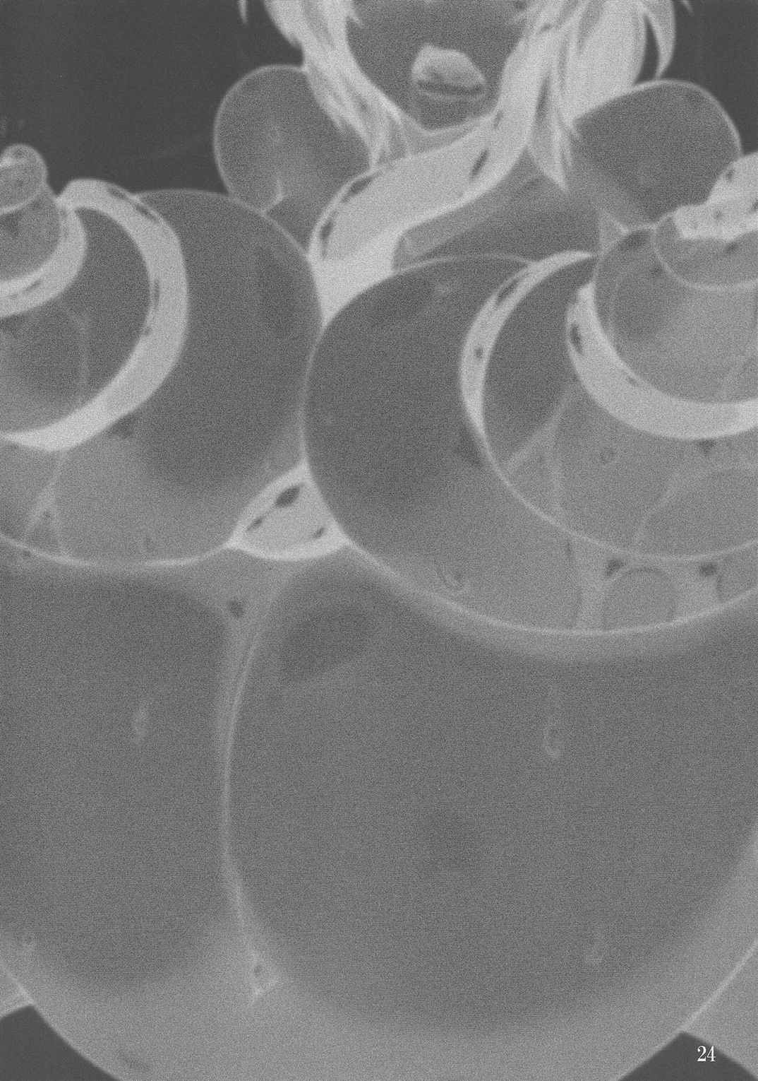 触手地霊殿2~さとり拡張開発~ 23ページ