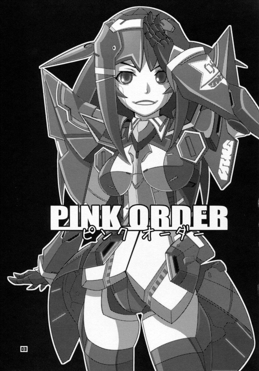 PINK ORDER 2ページ