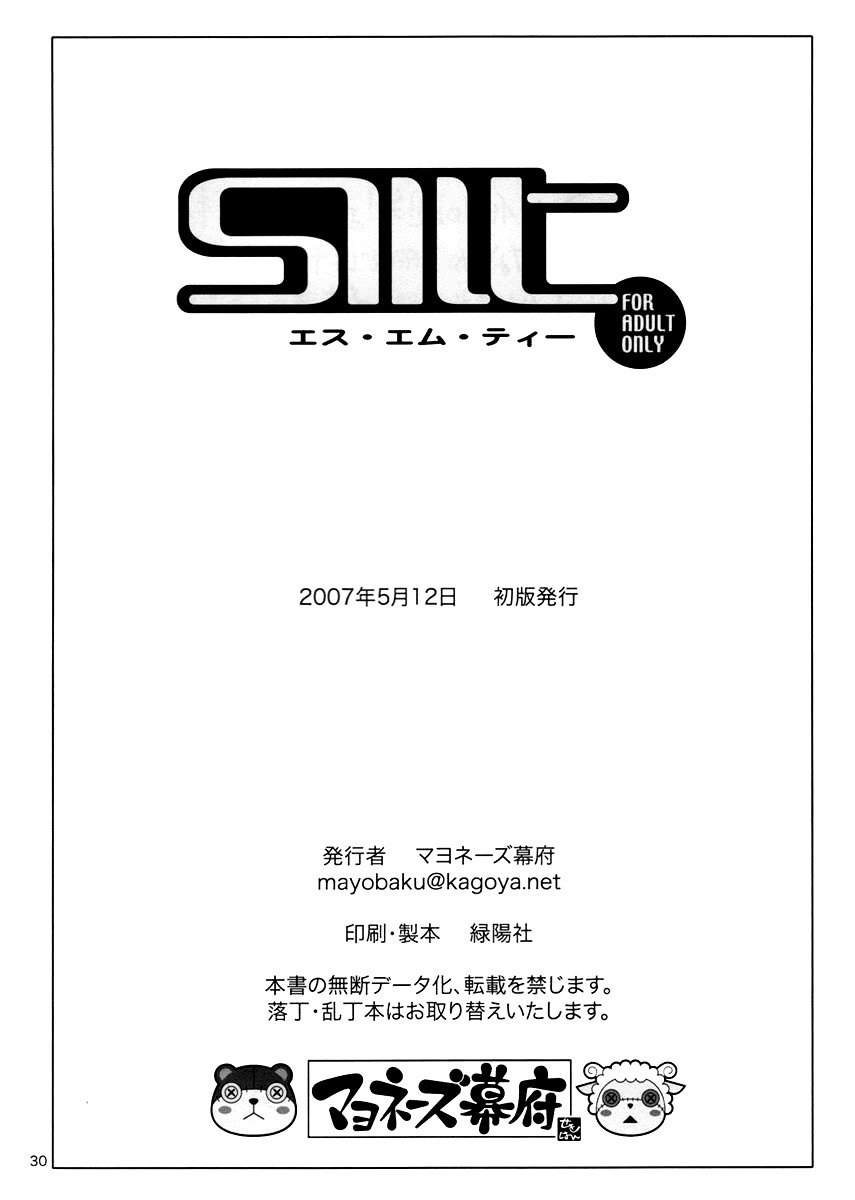 SMT 30ページ